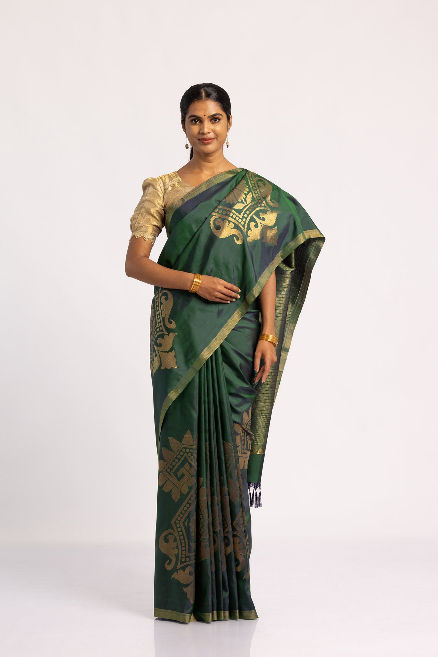 Bhavni