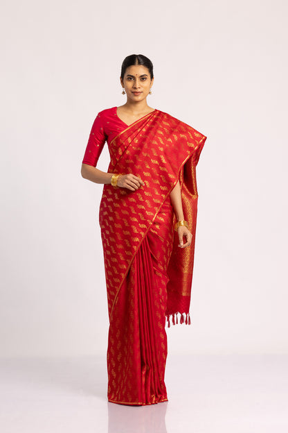 Gaurangi