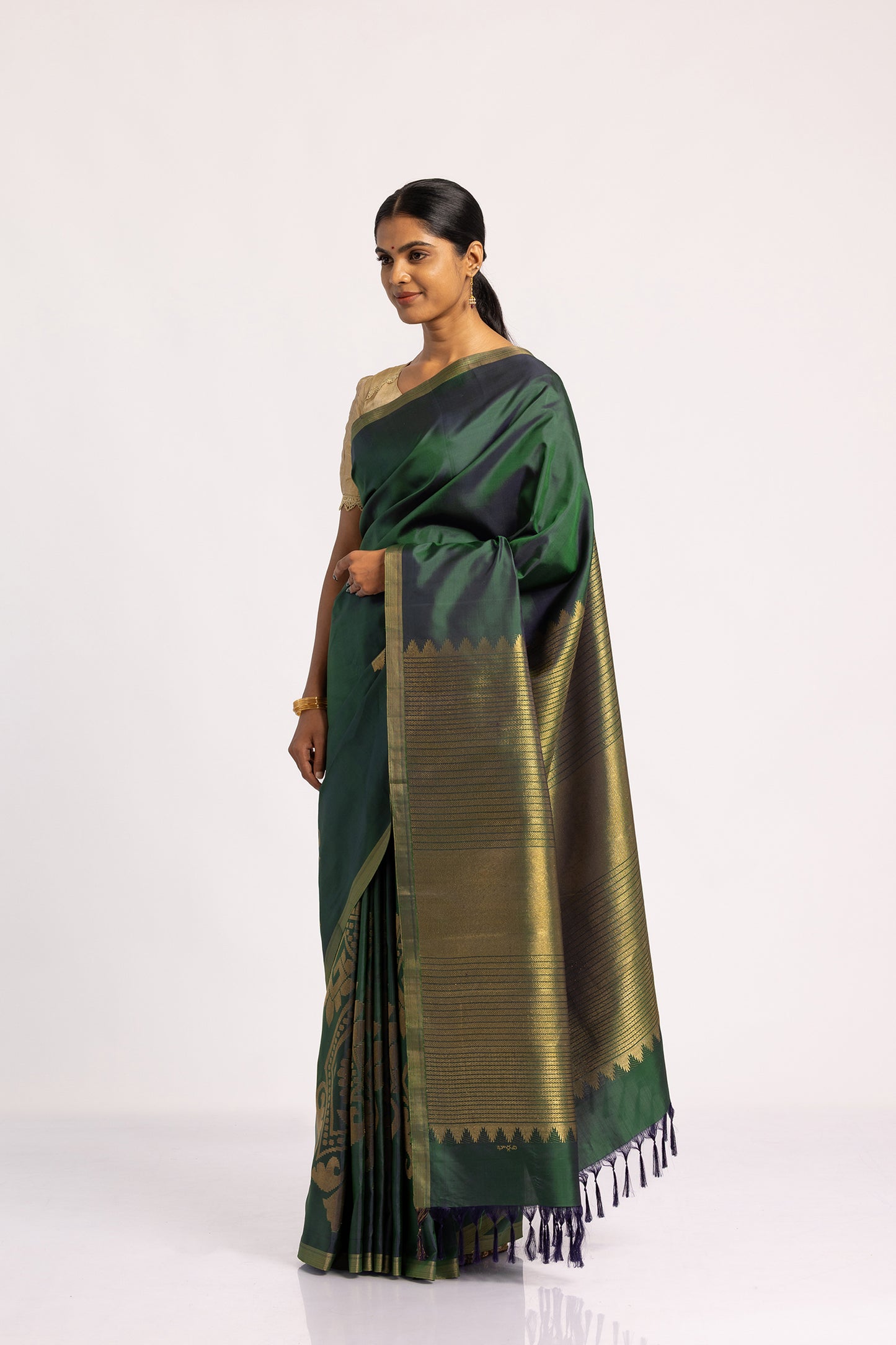 Bhavni