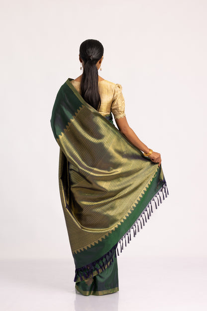 Bhavni