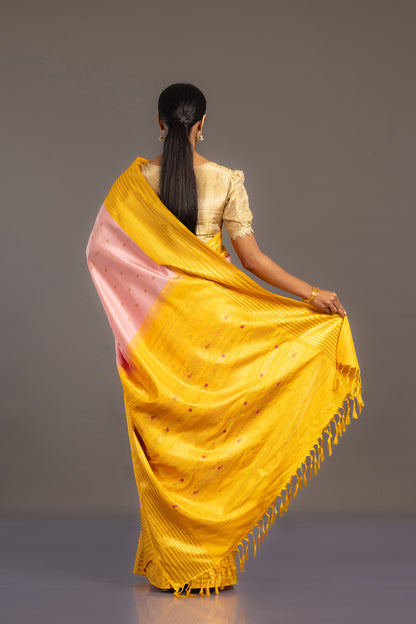 Bhoomika