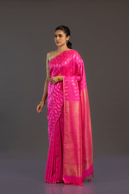 Shivani