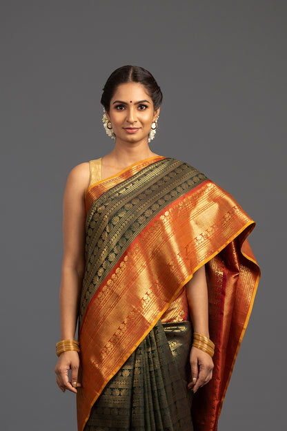 Avani