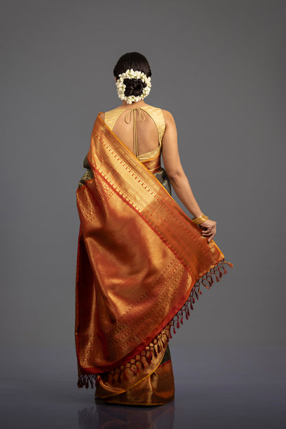 Avani